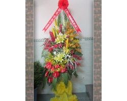 HOA KHAI TRƯƠNG 12