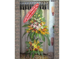 HOA KHAI TRƯƠNG 16