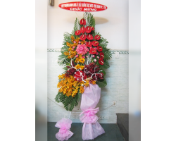 HOA KHAI TRƯƠNG 17