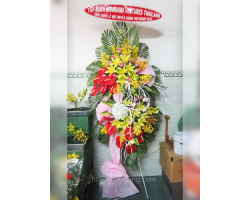 HOA KHAI TRƯƠNG 18
