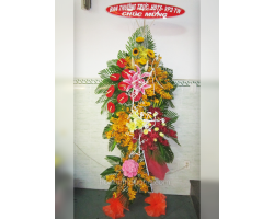 HOA KHAI TRƯƠNG 19