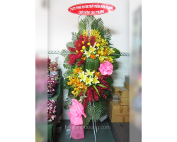 HOA KHAI TRƯƠNG 20