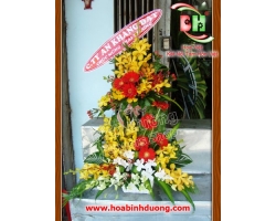 HOA SINH NHẬT 21