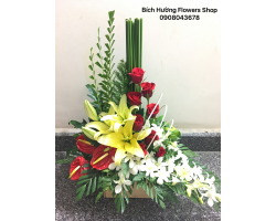 HOA SINH NHẬT 23